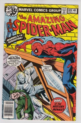 Front cover of AMAZING SPIDER-MAN (1963-98; 2003-13) #189