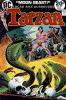Reference image of the front cover of TARZAN (1972) #225